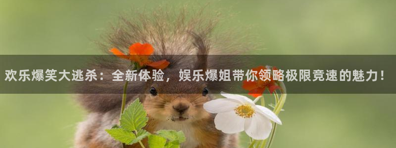 wg电子平台