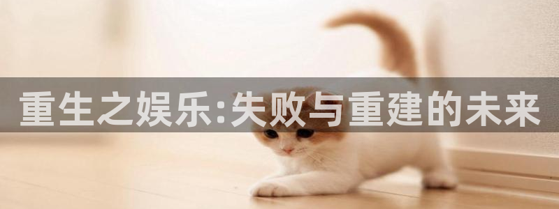 wg电子